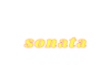 hình thức sonata thể loại sonata