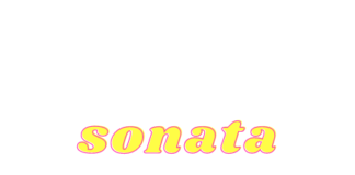 hình thức sonata thể loại sonata