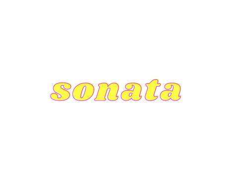 hình thức sonata thể loại sonata