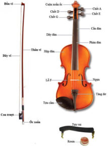 violin violon vĩ cầm