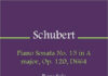 Schubert piano sonata số 13 no. 13
