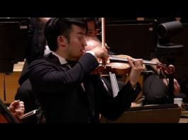Sibelius: Concerto violin