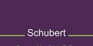 schubert piano sonata số 21