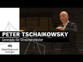 Tchaikovsky: Serenade cho dàn dây